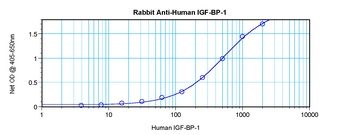 IGF-BP1 Antibody