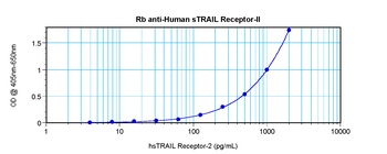 TNFRSF10B Antibody