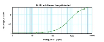 NRG1 Antibody (Biotin)