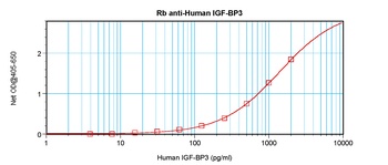 IGF-BP3 Antibody