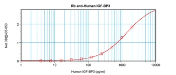 IGFBP3 Antibody