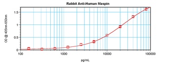 SERPINB5 Antibody