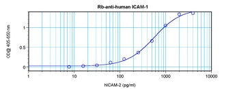 ICAM1 Antibody