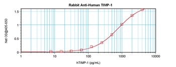 TIMP1 Antibody