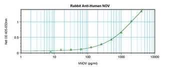 NOV Antibody