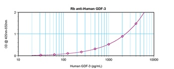 GDF3 Antibody