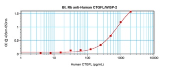 WISP2 Antibody (Biotin)
