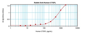 WISP-2 Antibody