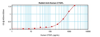 WISP2 Antibody