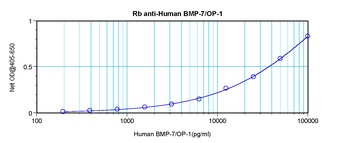 BMP7 Antibody