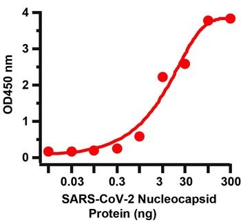 SARS-CoV-2 (COVID-19) Nucleocapsid Antibody [3868]