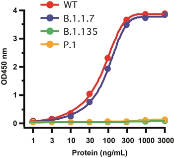 SARS-CoV-2 (COVID-19) Spike S1 Antibody [SP185]