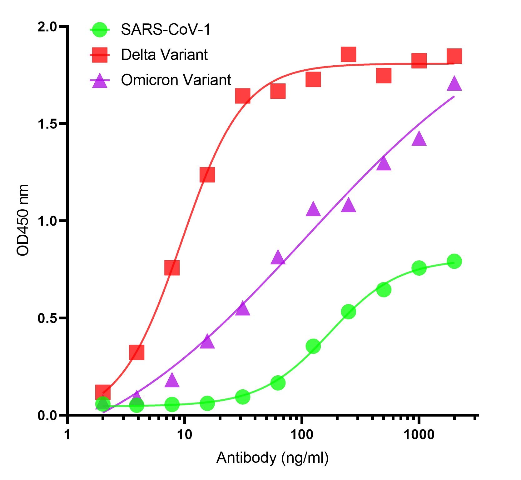 SARS-CoV-2 (COVID-19) Spike S2 Single Domain Antibody [P1B8]