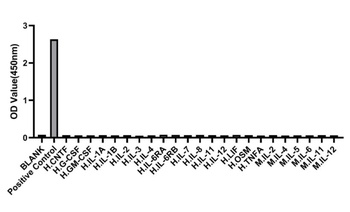 IL-6 Antibody [2M8M3]