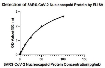SARS-CoV-2 Nucleocapsid Control Antibody [4A1W0] [Out of stock]