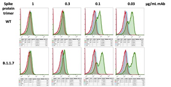 SARS-CoV-2 (COVID-19) Spike RBD Neutralizing Antibody [C-A11]