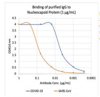 SARS-CoV-2 (COVID-19) Nucleocapsid Antibody [85E9]