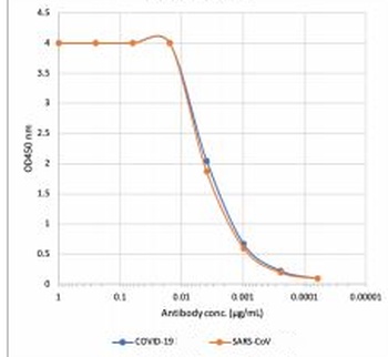 SARS-CoV-2 (COVID-19) Nucleocapsid Antibody [85C1]