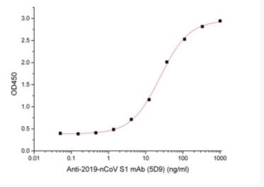 Recombinant SARS-CoV-2 (COVID-19) S1 Antibody [5D9]