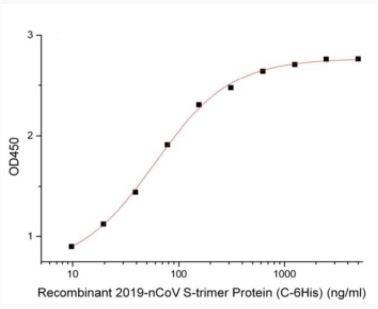 Recombinant SARS-CoV-2 (COVID-19) S Antibody [2B7]