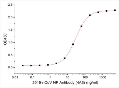 Recombinant SARS-CoV-2 (COVID-19) Nucleocapsid Antibody [4A6]