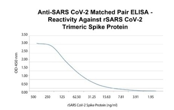 SARS-CoV-2 Spike RBD Antibody [2196]