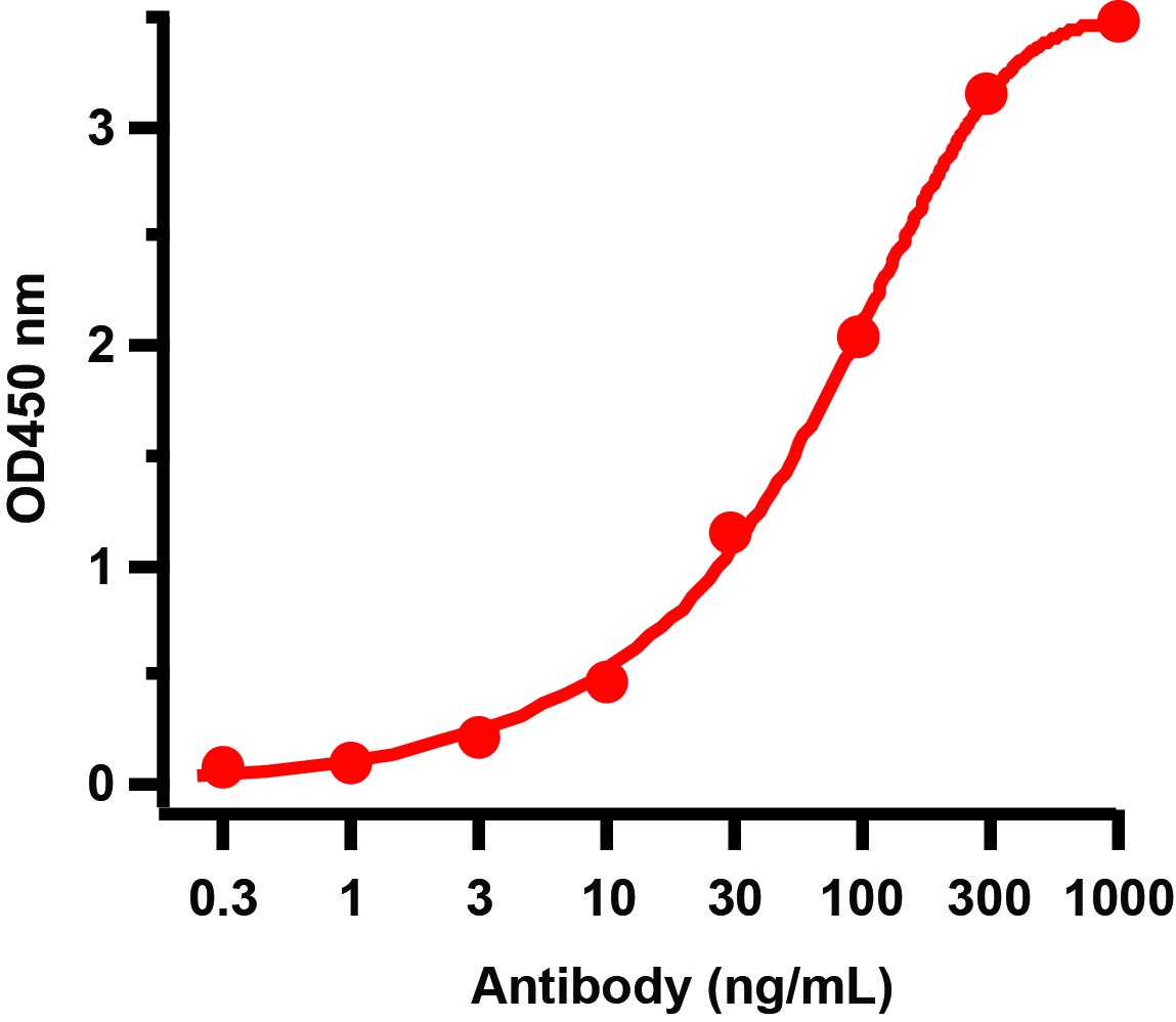 HIV-1 p24 Recombinant Protein