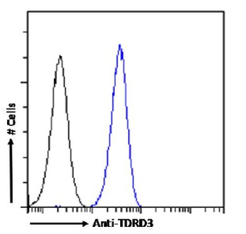 TDRD3 Antibody