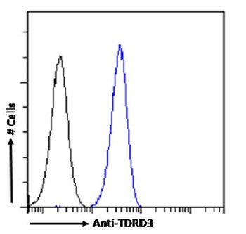 TDRD3 Antibody [RAB-C419], Rabbit IgG