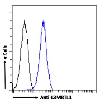 L3MBTL1 Antibody