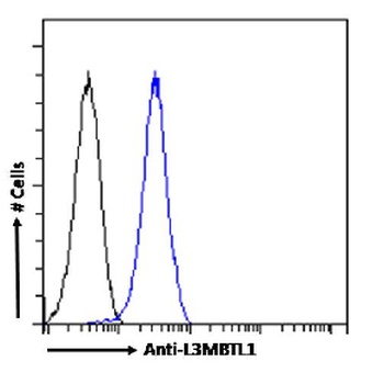 L3MBTL1 Antibody [RAB-C213], Rabbit IgG