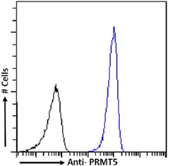PRMT5 Antibody [RAB-C136], Rabbit IgG