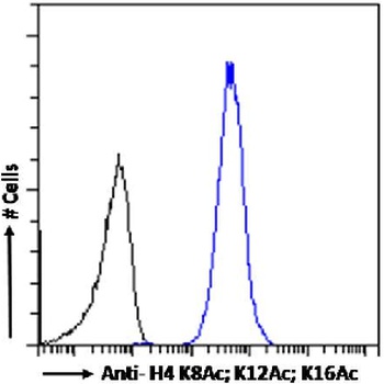 H4 K8Ac; K12Ac; K16Ac Antibody [KM-2], Rabbit IgG