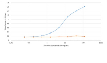 COVID-19 & SARS-CoV S glycoprotein Antibody [CR3022], Human IgG1