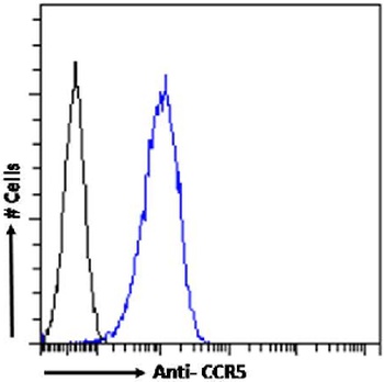 CCR5 (phosphoserine 337) Antibody [V14/2], Rabbit IgG