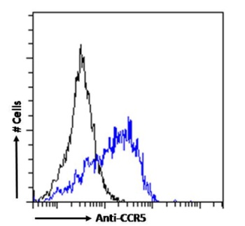 CCR5 Antibody