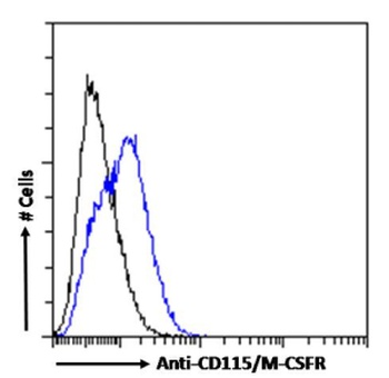 CD115/M-CSFR Antibody [AFS98], Rabbit IgG