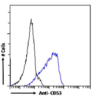 CD53 Antibody [HD77], Rabbit IgG