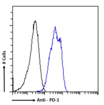 PD-1 Antibody [J43], Rabbit IgG