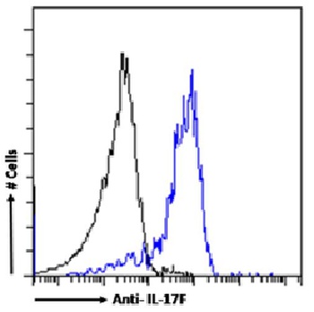 IL-17F Antibody [8F5.1A9], Rabbit IgG
