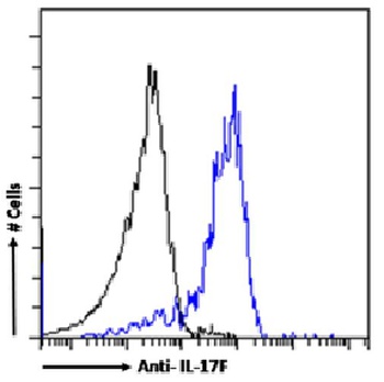 Il17f Antibody