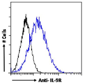 IL-9R Antibody [AH9R2], Rabbit IgG