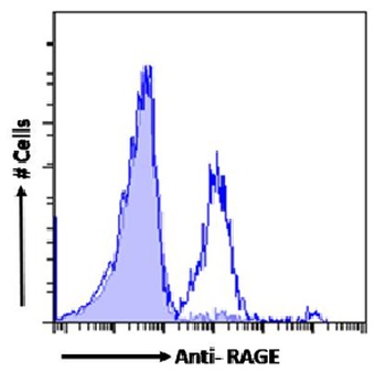RAGE Antibody [2A11], Rabbit IgG
