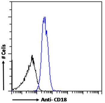 ITGB2 Antibody