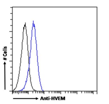 HVEM Antibody [HMHV-1B18], Rabbit IgG