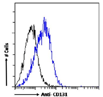 CD131 Antibody [BION-1], Rabbit IgG