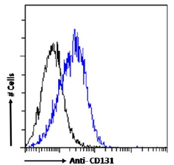 CSF2RB Antibody