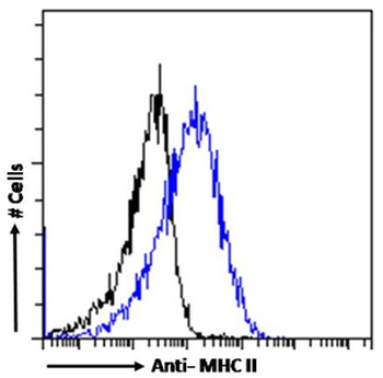 MHC II Antibody [P7/7], Rabbit IgG