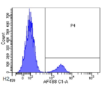 CD22 Biosimilar Antibody