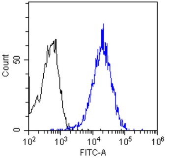 C3 Biosimilar Antibody